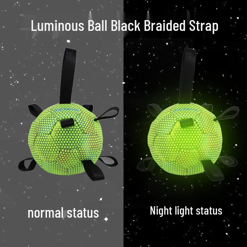 Luminous Dog Chew Soccer Ball Toy