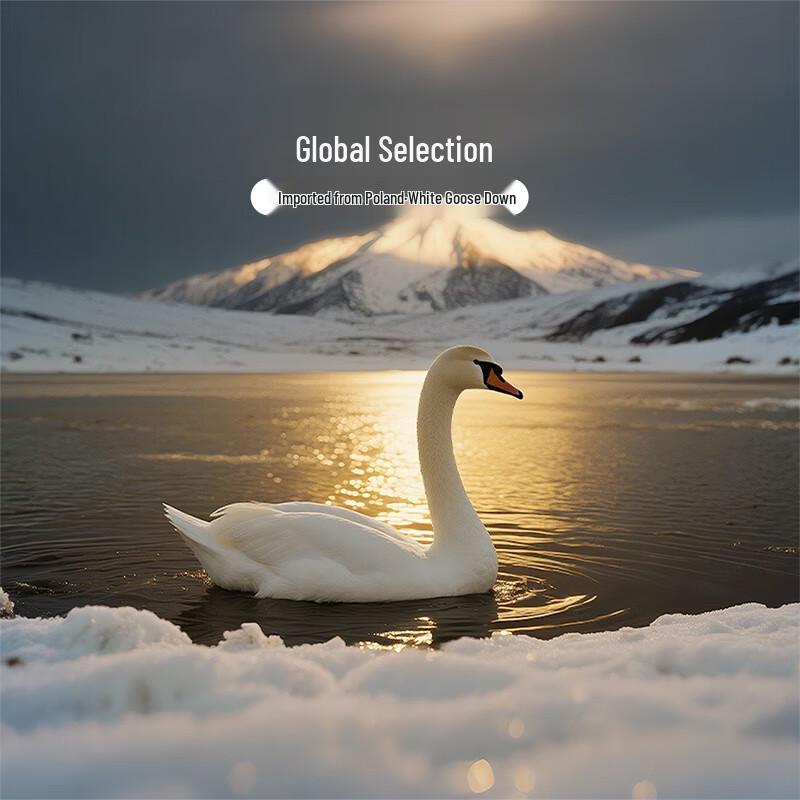 Fuanna 95% Imported White Goose Down Winter Comforter