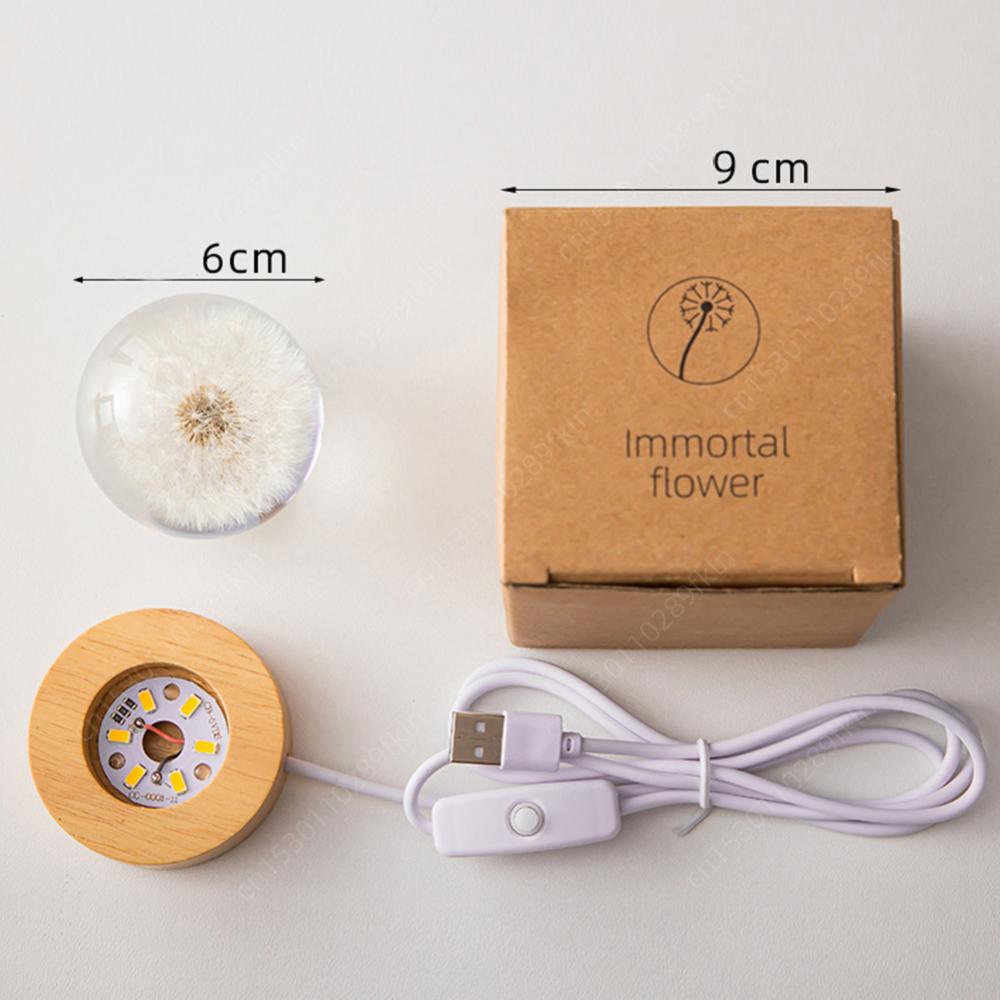 Forever Flowers Kristallkugel Licht mit Holzsockel Runde Kugel Nachttischlampe Büro Heimdekoration Geschenke für Männer Frauen Kinder Jungen Mädchen
