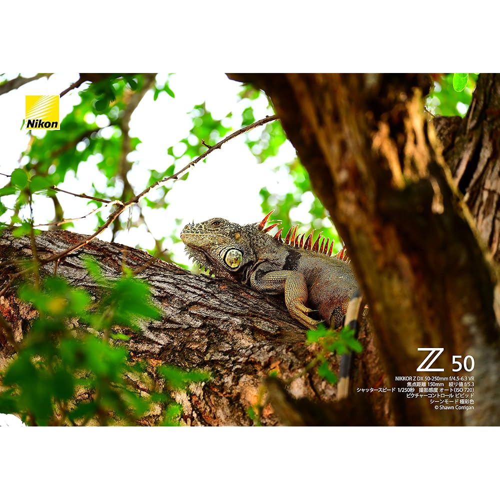 Nikon NIKKOR Z DX 50-250mm f/4.5-6.3 VR telephoto zoom lens, Z mount, DX lens (NZDXVR50-250)