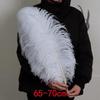 White Ostrich Feathers 15-80cm for Lighting, Wedding Aisle Decor, Photo Props, and Vase Ornaments