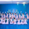 Chinese Sling Kids Ballet Dress Classical Leotard Performance Costume Princess Dress  Children