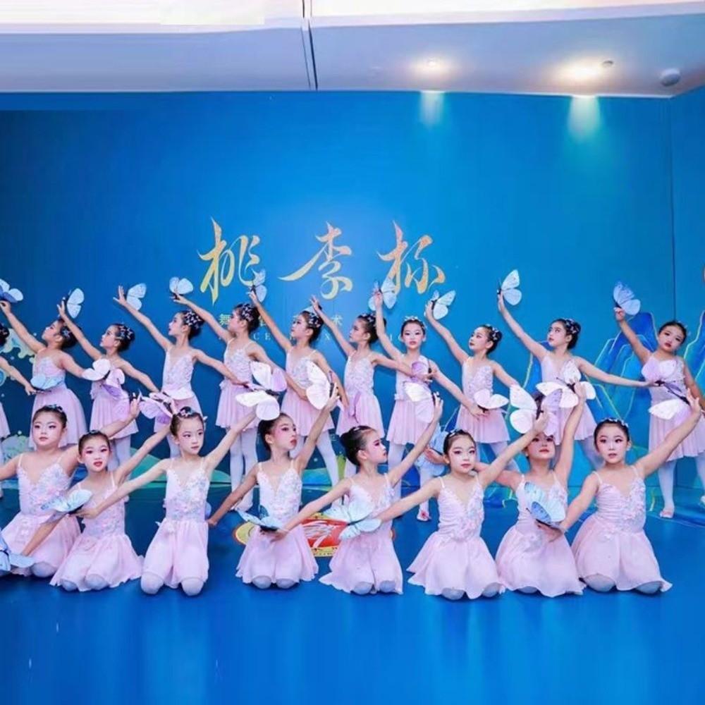 Chinese Sling Kids Ballet Dress Classical Leotard Performance Costume Princess Dress  Children