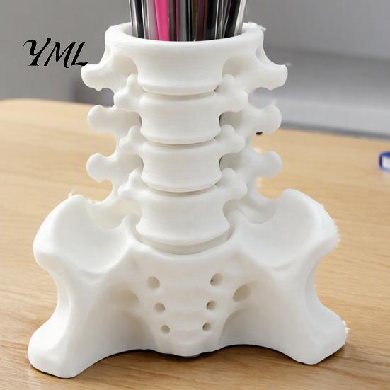 Unique Office Accessories Simulated Spine Pen Holder, Creative Skeleton Desktop Organizer, Durable Stationery PLA 3D Printed Anatomy Ornament for Home