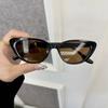 Designer Brand Cat Eye Sunglasses Women Men Casual Small Frame Sun Glasses Female Mirror Colors Luxurious Fashion