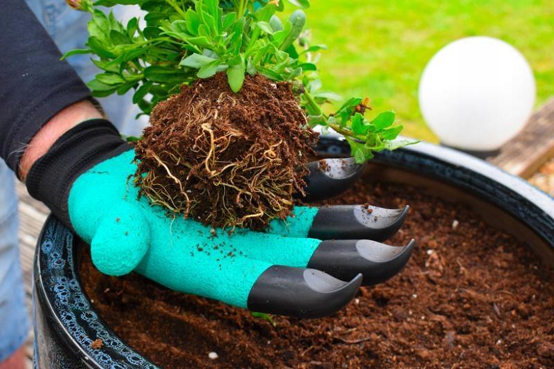 Gardenline Rękawice Ogrodowe Z Pazurami Tel9903