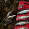 EWE Summer Exquisite 5-Piece Long-Cast Shore Lure Set