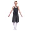 Kids Girls Mesh Overlay Ballet Contemporary Dance Dress Lyrical Leotard Costume Sleeveless Dresses