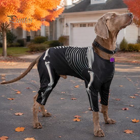 Dog Costume for Halloween Skeleton Costume, Print Four-legged Outfit, Spooky Breathable Pet Clothing All Sizes Cool Pullover Shirt Party Cosplay