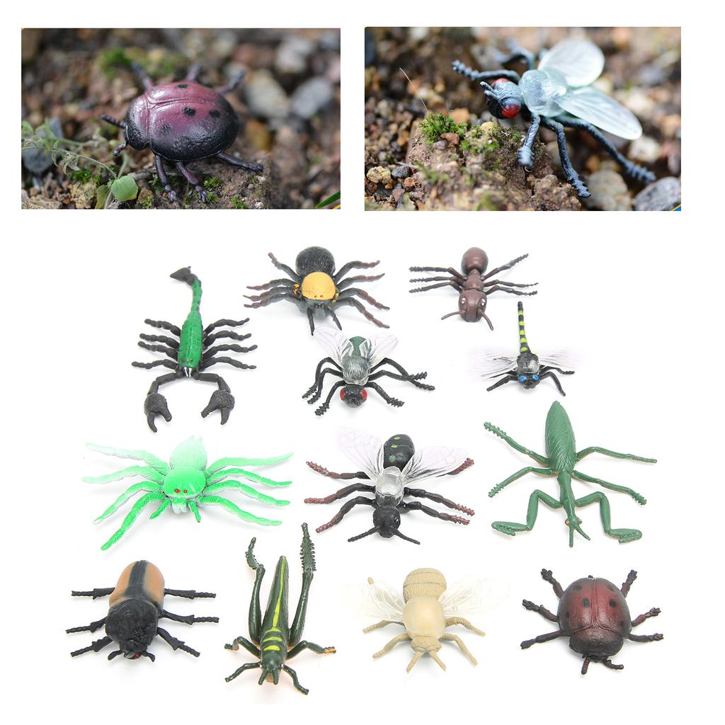 12pcs Assorted Lifelike Bugs Model Children Educational Simulation Insect Model ToyS