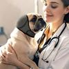 Orejeras para Perros Cancelación de Ruido Orejeras para Perros Diadema Calmante para Emociones de Perros Aislamiento Acústico Calentamiento de Invierno Cubiertas para Orejas de Perros Mascotas
