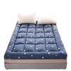 Three-Dimensional Feather Velvet Dormitory Tatami Mattress Topper