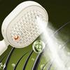 2026 Electric Steaming Hair Straightener Brush Electric Spray Air Cushion Massage Hair Brush Rechargeable Detangling Steam Brush