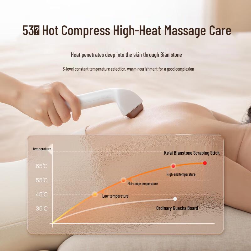 Electric Bianstone Guasha Massager