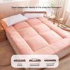 3D Soft Cushion Tatami Mattress Pad for Home, Dorm, or Rentals