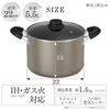 IRIS OHYAMA 22cm Pot with Diamond Stove with 3 Colors Metallic Double-Handled Coating, IH/Gas Compatible, Lid, Lightweight, Non-Stick, (DCS-P22