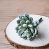 Tyoungg 4 Pack Flocked Green Artificial Succulent Cactus Plants Echeveria Unpotted Long Stem for Wreath Making Wedding Bouquet Making 3.33”Wide X