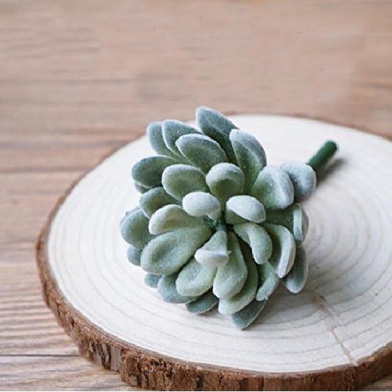 Tyoungg 4 Pack Flocked Green Artificial Succulent Cactus Plants Echeveria Unpotted Long Stem for Wreath Making Wedding Bouquet Making 3.33”Wide X