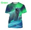 Full Print Animal Polar Bear Graphic T-Shirt For Men Summer Short Sleeve Oversized T Shirt Kids Tees Tops Clothes