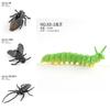 Realistic Pvc Insect Model Set Featuring Beetles Butterflies Ladybugs Caterpillars And More