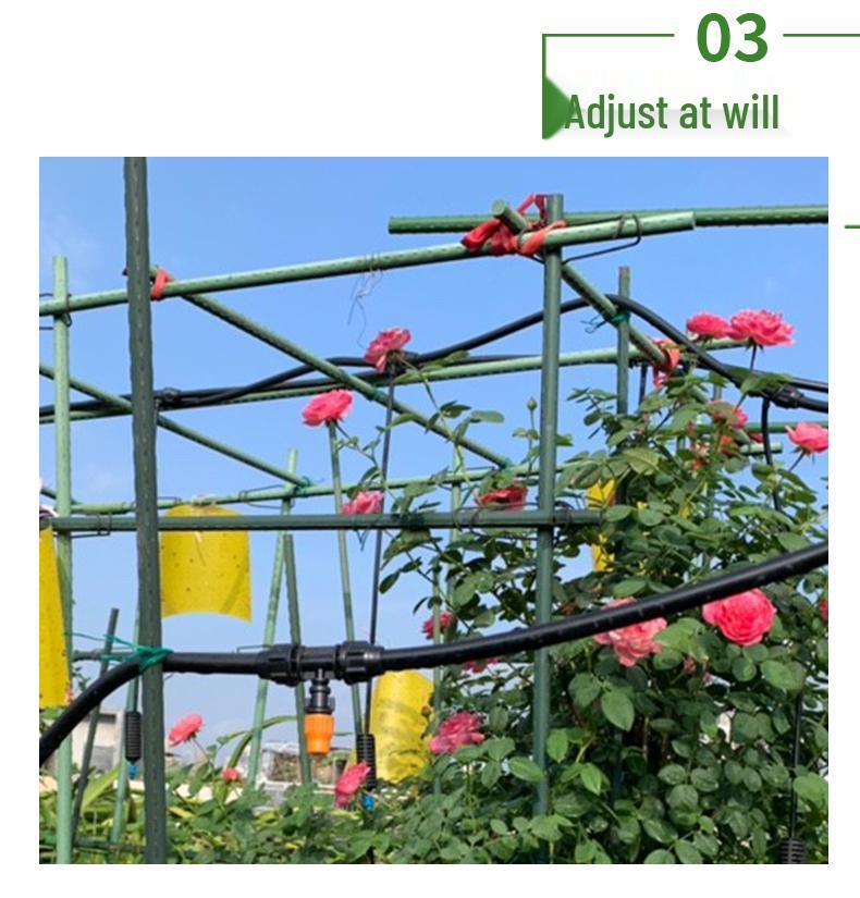 Vegetable Garden Climbing Support: Bean, Cucumber, and Runner Bean Trellis Frame