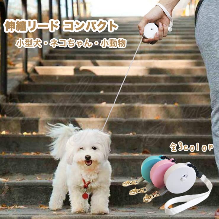 Compact Retractable Lead for Small Cats and Other Small Animals Compact Retractable Lead for Extra Small Guinea Walking Pocket Emilystyle Dogs, Dogs,