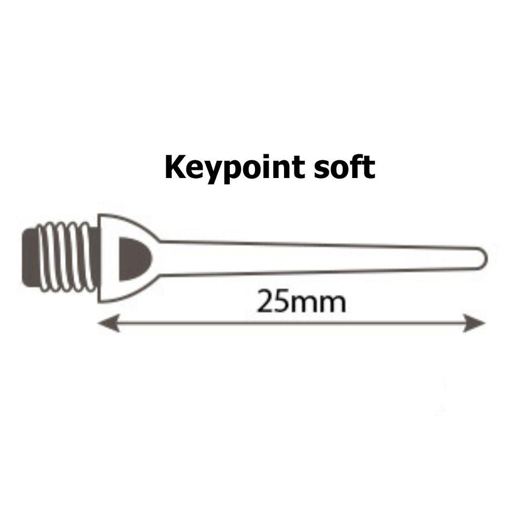 Tipps für Darts MASTER KEYPOINT soft 2BA