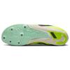 Nike Air Zoom Rival Multi Spikes 'Volt Mint Foam' Men's DC8749-700