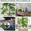 19 Oz Extra Large Plant Self Watering Globes Top Fill, Plastic Water Bulbs, Slow Release Terracotta Self Watering Planter Insert, Plant Watering