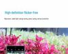 Welcome L Series WRGBUV Full Spectrum Light for Plant & Dragonfish Tanks