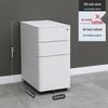 Tsinghua Tongfang Aurelian Mobile Steel Office Cabinet