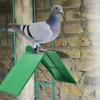 10PCS Plastic Small Green Anti skid Design Dove Rest Stand Pigeon Perches Roost Frame Bird Supplies