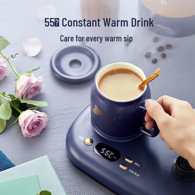 BEAR Mini Multi-functional Wellness Kettle CN Plug (adapter Included)