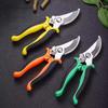 Stainless Steel Garden Pruning Shears for Fruit, Flowers, Branches, and Orchards