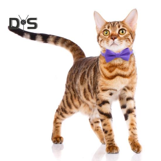 Cat Collar Adjustable Faux Leather Bowtie Pet Collar for Kitten Cats And Puppy Graduation Wedding Birthday Pet Party Collar with Copper Bell