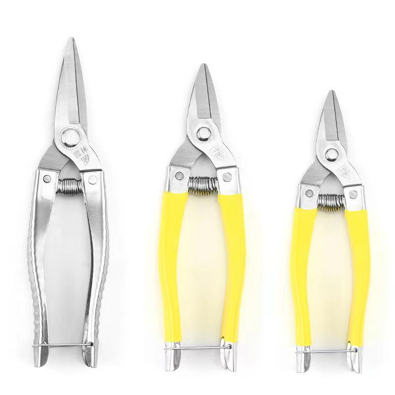 Stainless Steel Pruning Shears for Fruit, Floral Art, and Landscaping
