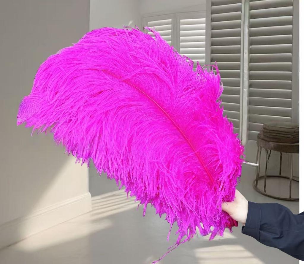 1pcs Ostrich Hair 65-70Cm Photo Feather Wall Wedding Road Guide Decorative Props Colored Feathers
