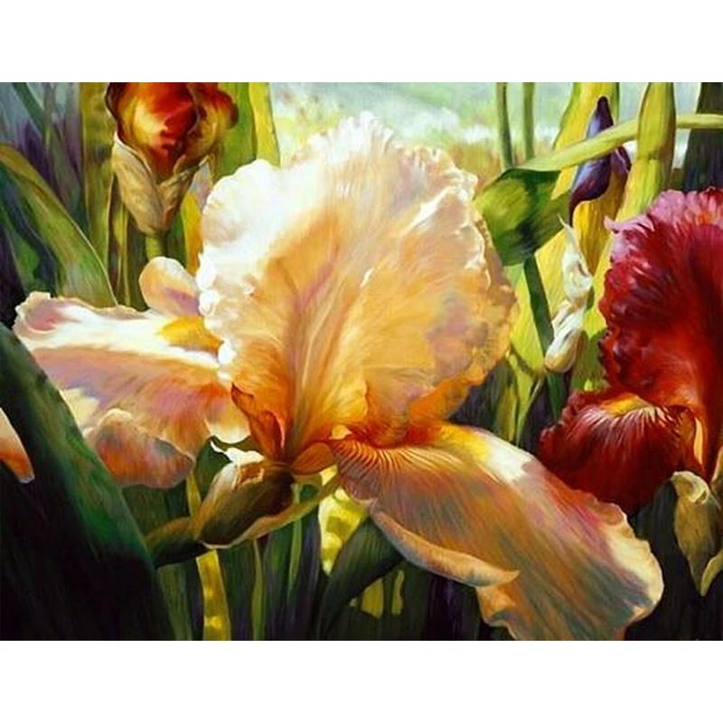 GATYZTORY 40x50cm Frame Painting By Numbers For Adults Color Flower Oil Picture HandPainted Diy On Canvas Home Wall Art