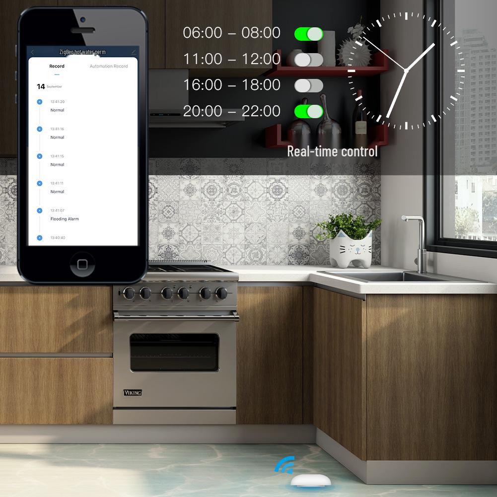 Tuya Zigbee Smart Water Leak Detector with App Timer Alarm