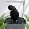 Automatischer Vogelbrunnen Vogeldusche Umwälzbrunnen für kleine Heimvögel Badewannenbrunnen Heimvogelbadewanne
