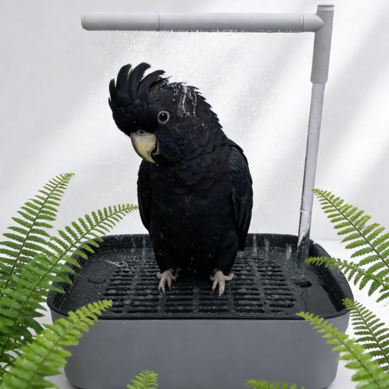 Automatischer Vogelbrunnen Vogeldusche Umwälzbrunnen für kleine Heimvögel Badewannenbrunnen Heimvogelbadewanne