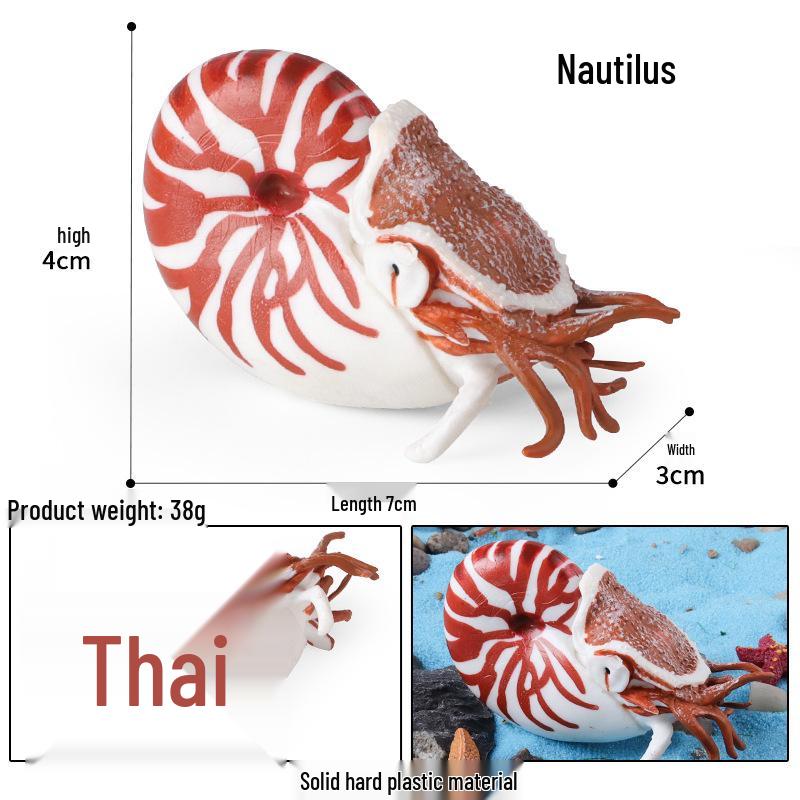 Ancient Marine Animal Ammonite Simulation Set: Educational Gifts for Kids