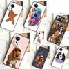 English Cocker Spaniel Dog Case For Honor X8b X9b 90 70 50 Magic 5 Pro Magic 6 Lite X6 X7 X8 X9 X6a X7a X8a X9a Cover