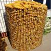 Tuinafsluiting & Net: Plastic Geogrid, Aquacultuur, Kip/Eend Isolatie, Balkonhek, Anti-Kat/Muis