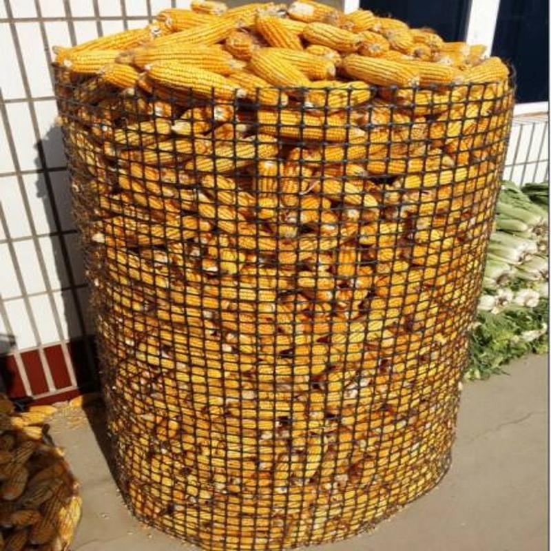 Tuinafsluiting & Net: Plastic Geogrid, Aquacultuur, Kip/Eend Isolatie, Balkonhek, Anti-Kat/Muis