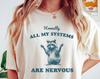 Honestly All of My Systems Are Nervous Shirt, Raccoon Shirt, Mental Health Shirt, Anxiety T-Shirt, Funny T-Shirt, Vintage Retro Graphic Shirt