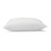 Amazon Basics Pillow, Down Alternative, Machine Washable, Large, 2-Pack, 51 x 66 cm, White