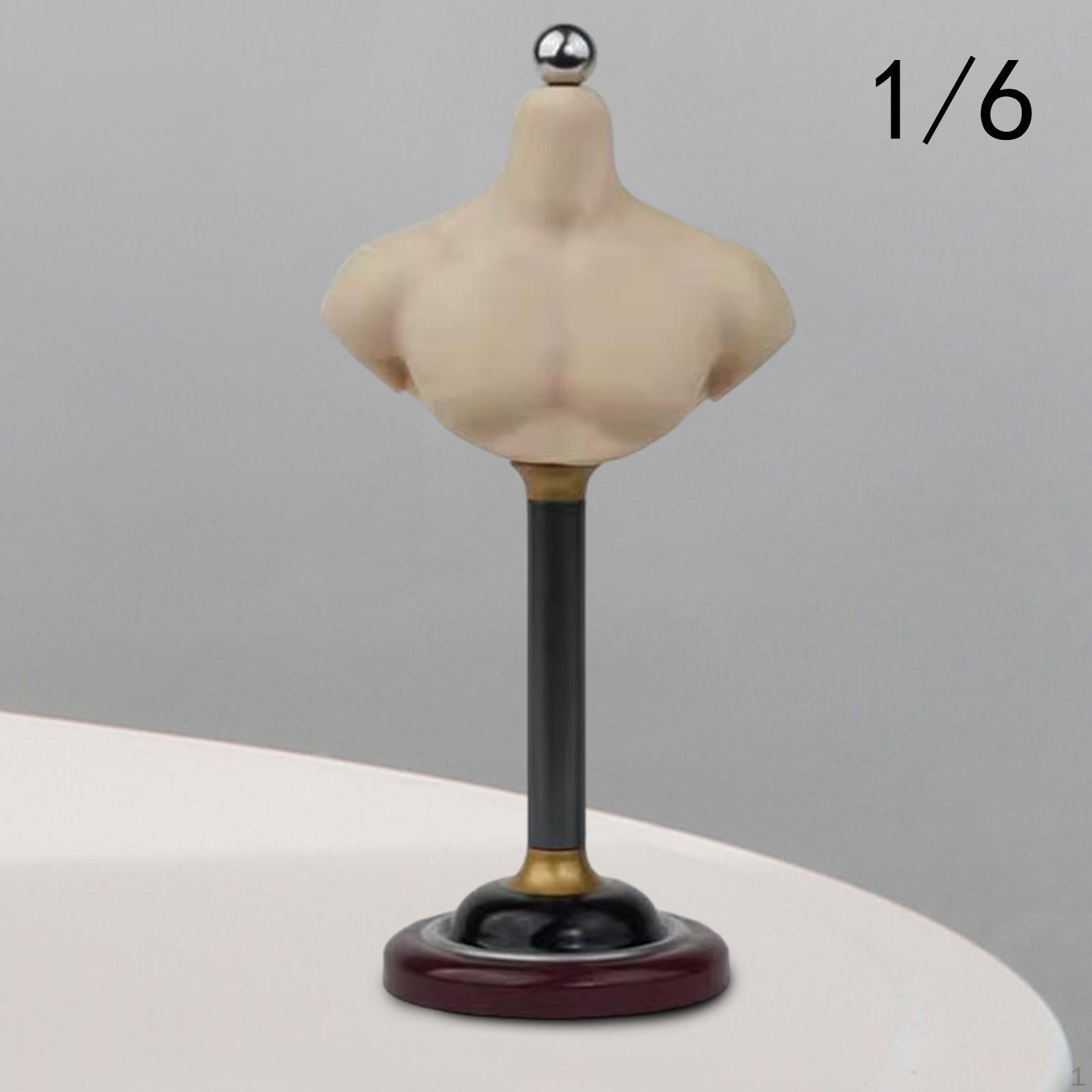 

1/6 Подставка для бюста, держатель для головы, аксессуары для лепки, коллекция рисунков 1/ 15.3cm