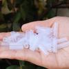 Plant Graft Protector Silicone Grafting Sleeves for Fruit Trees Elastic Thin-walled Grafting Tubes Rapid Plant for Gardening
