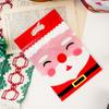 25Pcs Plastic Bags Christmas Candy Bag Merry Christmas Gift Packages Bags  Party Supplies